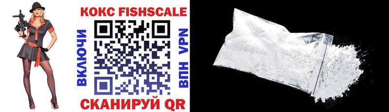 где можно купить наркотик  Закаменск  даркнет состав  COCAIN FishScale 